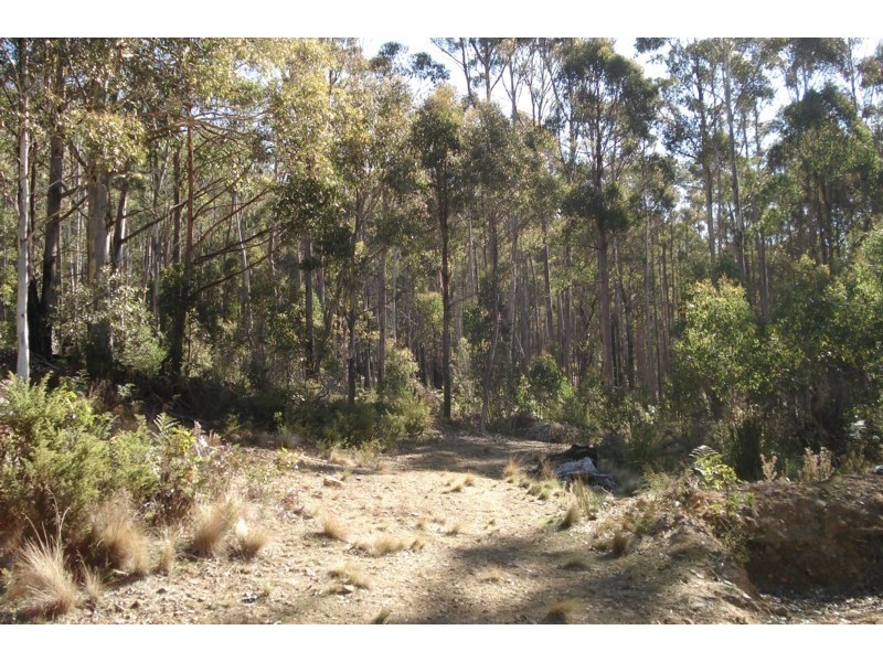 1140 Bluff Road, Elderslie TAS 7030