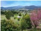 31 Hall Lane, Bagdad TAS 7030