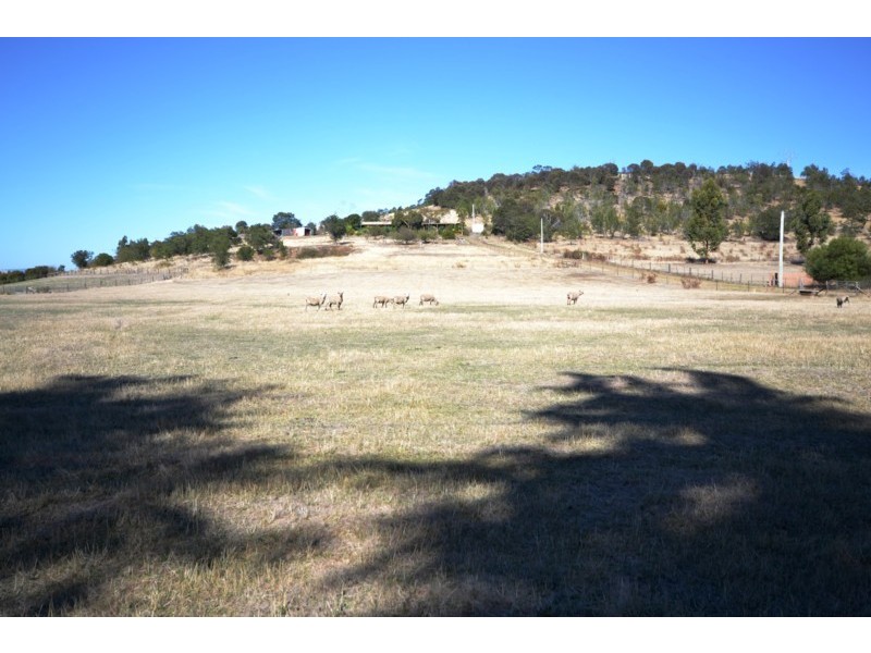 31 Hall Lane, Bagdad TAS 7030