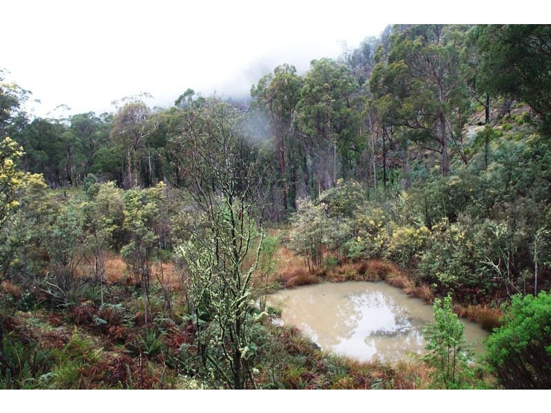 1354 Bluff Road, Elderslie TAS 7030