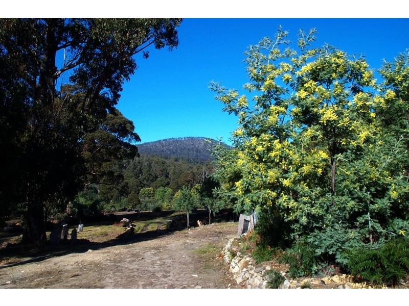 1354 Bluff Road, Elderslie TAS 7030