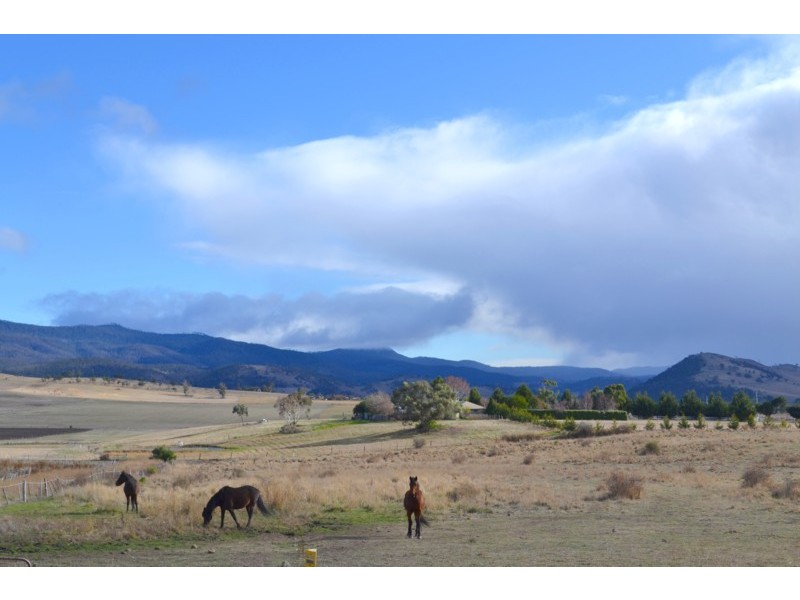 141 Elderslie Road, Brighton TAS 7030