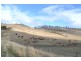 141 Elderslie Road, Brighton TAS 7030