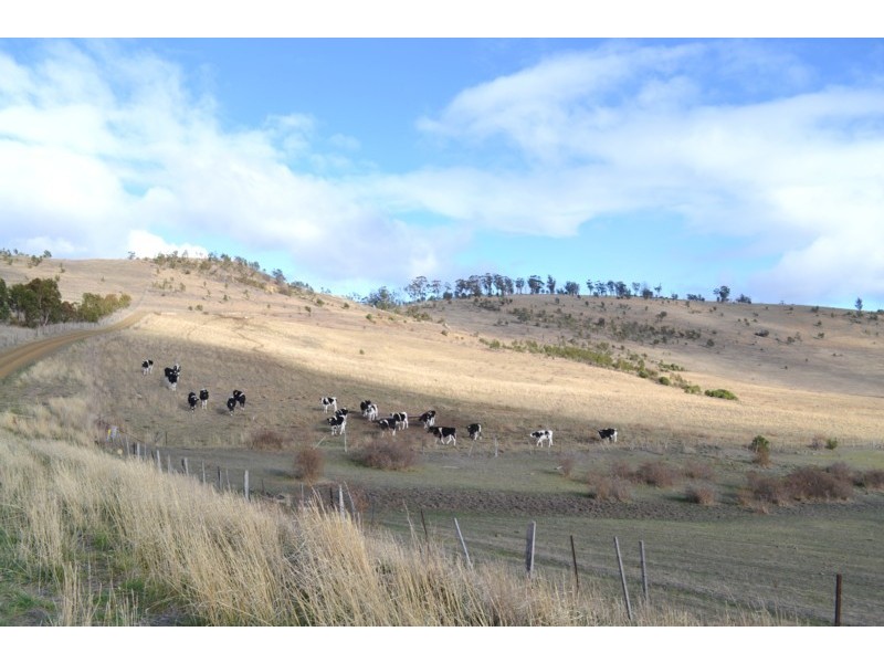 141 Elderslie Road, Brighton TAS 7030