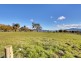 292 Tea Tree Road, Brighton TAS 7030
