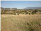 5 Sunnyview Place, Honeywood TAS 7017