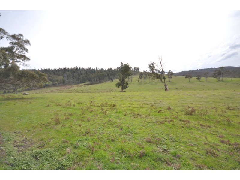 0 Pelham Road, Elderslie TAS 7030