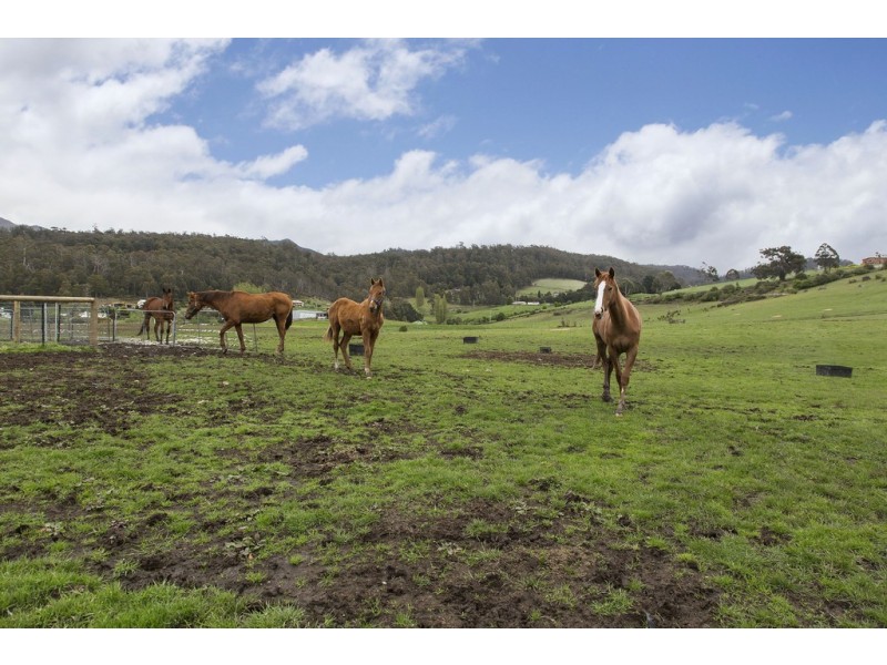 57 Mill Road, Collinsvale TAS 7012