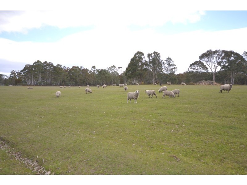 21 Black Gate Road, Mount Seymour TAS 7120