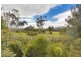 1307 Tunnack Road, Mount Seymour TAS 7120