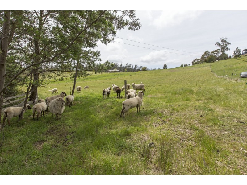 289 Green Valley Road, Bagdad TAS 7030
