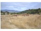 275 Baskerville Road, Old Beach TAS 7017