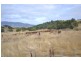 275 Baskerville Road, Old Beach TAS 7017