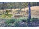571 Thousand Acre Lane, Pelham TAS 7030