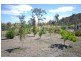 571 Thousand Acre Lane, Pelham TAS 7030