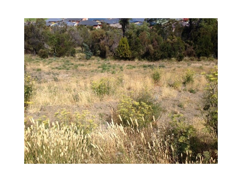 36 Grevillea Ave, Old Beach TAS 7017