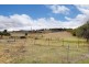 25 Sorell Street, Bridgewater TAS 7030