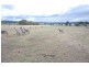 13 Glen Elg Street, Oatlands TAS 7120