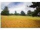29 Ely Street, Dysart TAS 7030