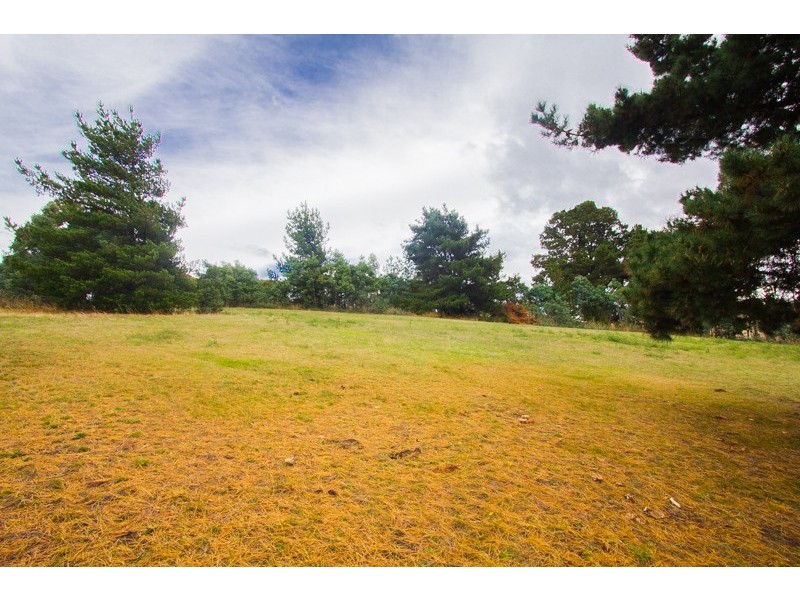29 Ely Street, Dysart TAS 7030