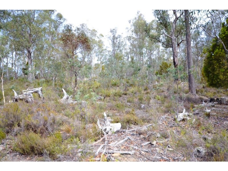 Lot 2 and 3 Huntingdon Tier Road, Bagdad TAS 7030