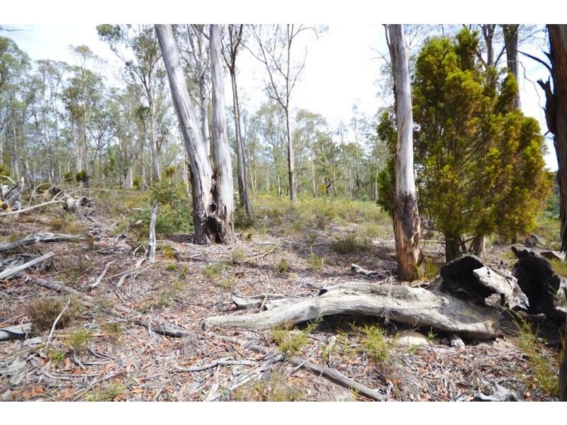 Lot 2 and 3 Huntingdon Tier Road, Bagdad TAS 7030