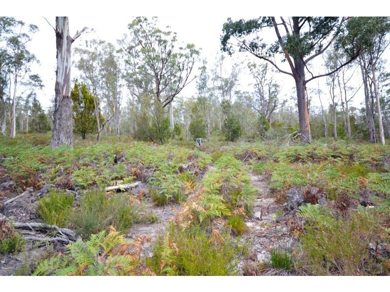 Lot 2 and 3 Huntingdon Tier Road, Bagdad TAS 7030
