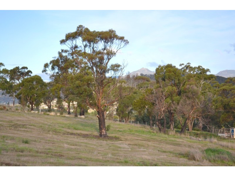 20 Goldsmith Street, Lawitta TAS 7140