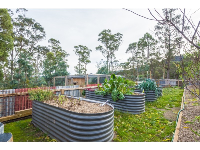 250 Williams Lane, Dysart TAS 7030