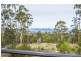 250 Williams Lane, Dysart TAS 7030