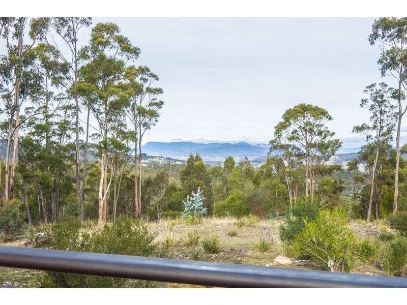 250 Williams Lane, Dysart TAS 7030