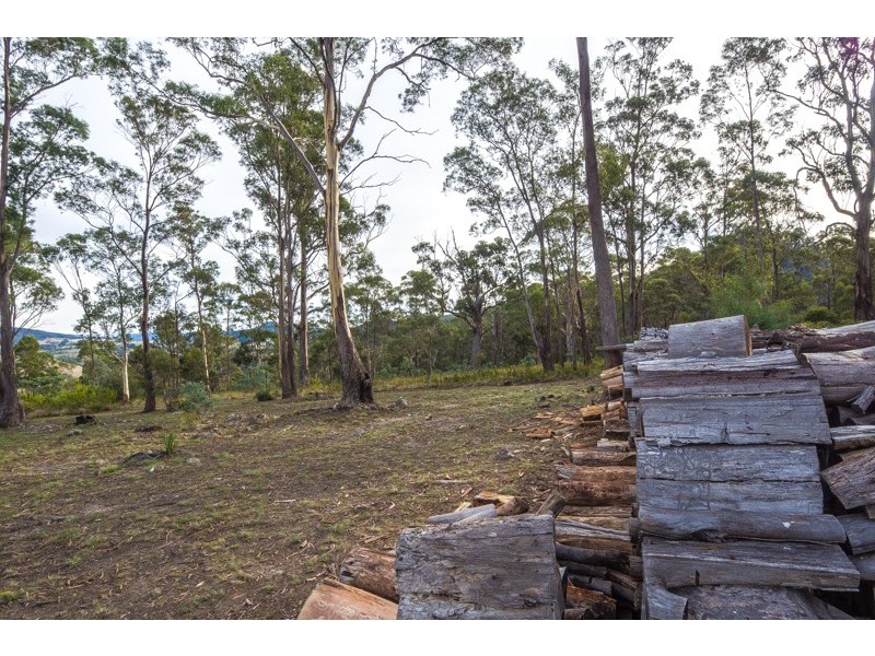 250 Williams Lane, Dysart TAS 7030