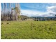1100 Ellendale Road, Ellendale TAS 7140