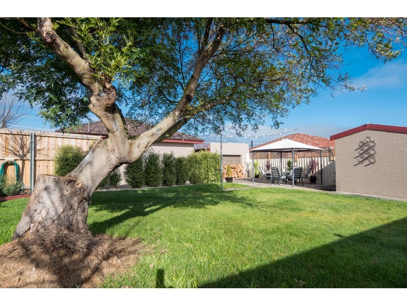 24 Benjamin Terrace, New Norfolk TAS 7140