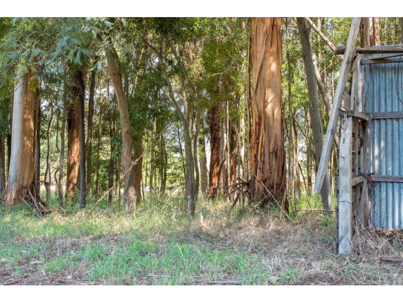 218 Lachlan Road, Lachlan TAS 7140