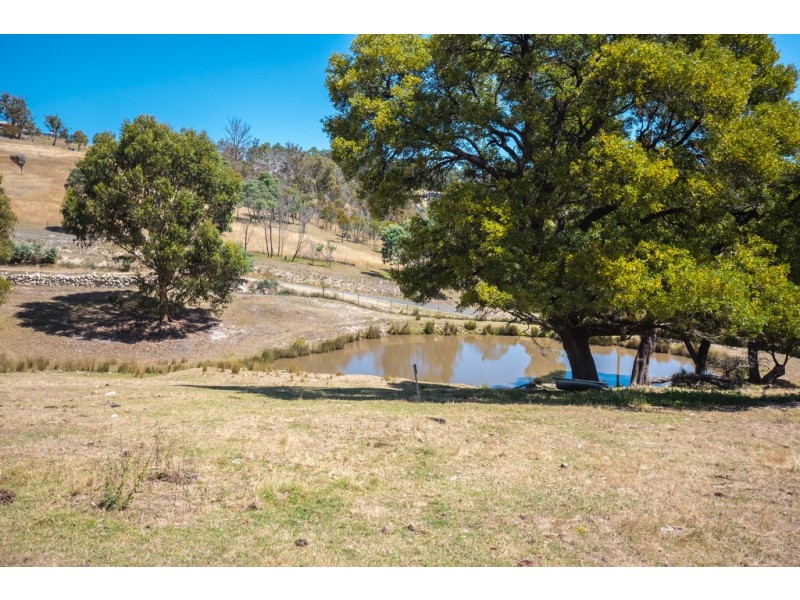319 Ironstone Gully Road, Lachlan TAS 7140