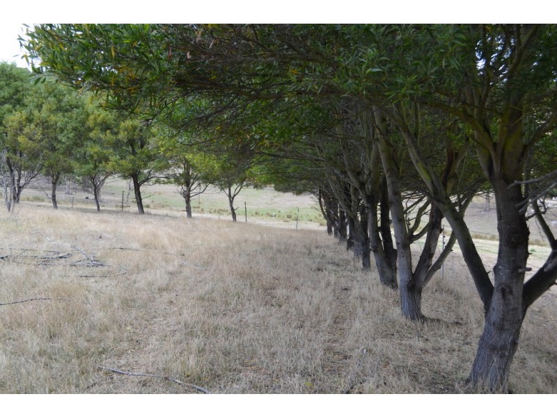 319 Ironstone Gully Road, Lachlan TAS 7140