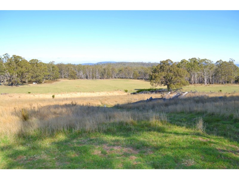 1362 Tunnack Road, Mount Seymour TAS 7120