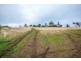 Herdsmans Cove TAS 7030