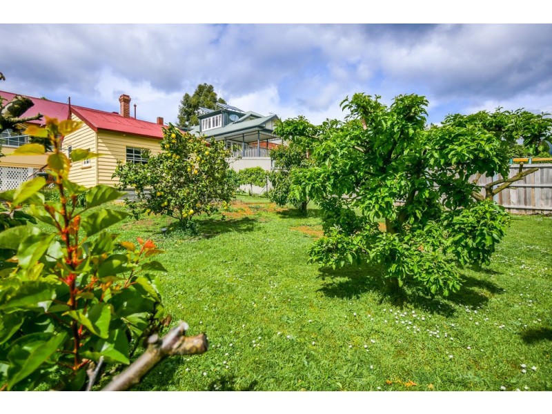 43 York Street, Sandy Bay TAS 7005