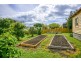 43 York Street, Sandy Bay TAS 7005