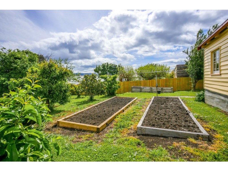 43 York Street, Sandy Bay TAS 7005