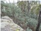 0 Bluff Road, Elderslie TAS 7030
