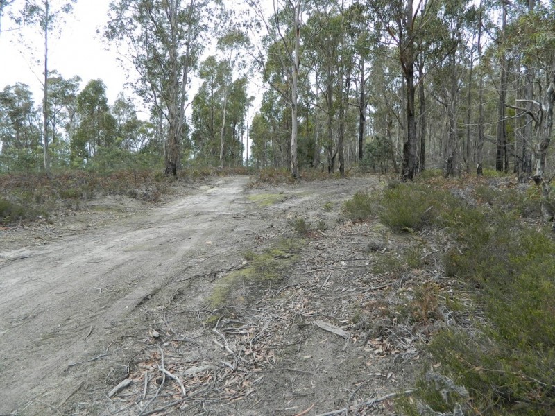 0 Bluff Road, Elderslie TAS 7030