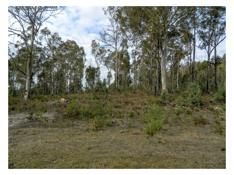 0 Bluff Road, Elderslie TAS 7030