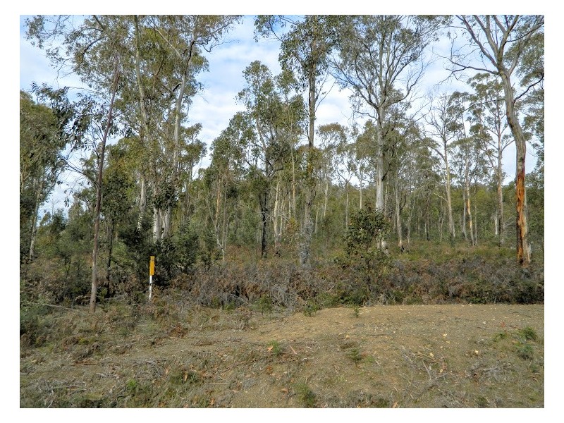 0 Bluff Road, Elderslie TAS 7030