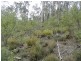 0 Bluff Road, Elderslie TAS 7030