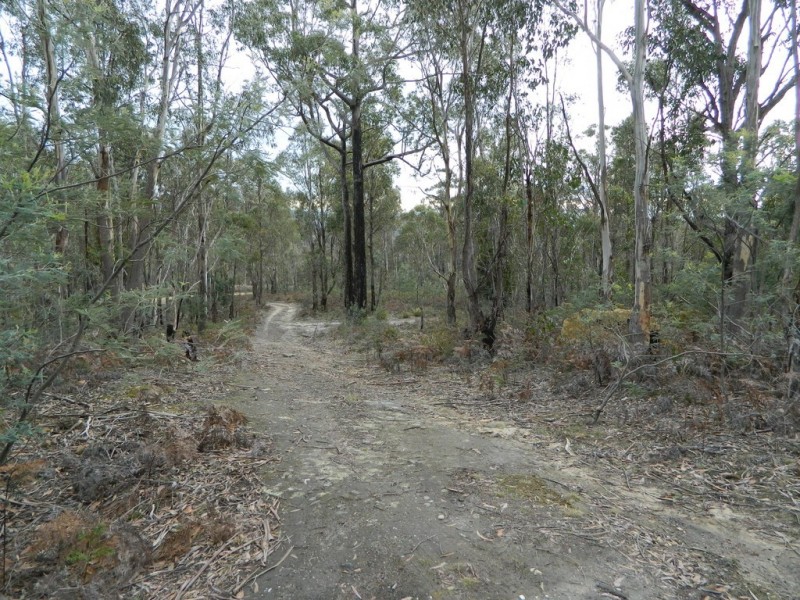 0 Bluff Road, Elderslie TAS 7030