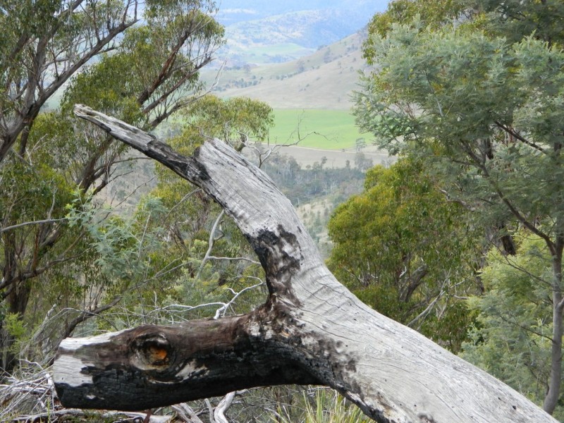 0 Bluff Road, Elderslie TAS 7030