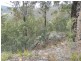 0 Bluff Road, Elderslie TAS 7030
